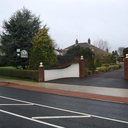 Meadow View B&B Navan Buitenkant foto