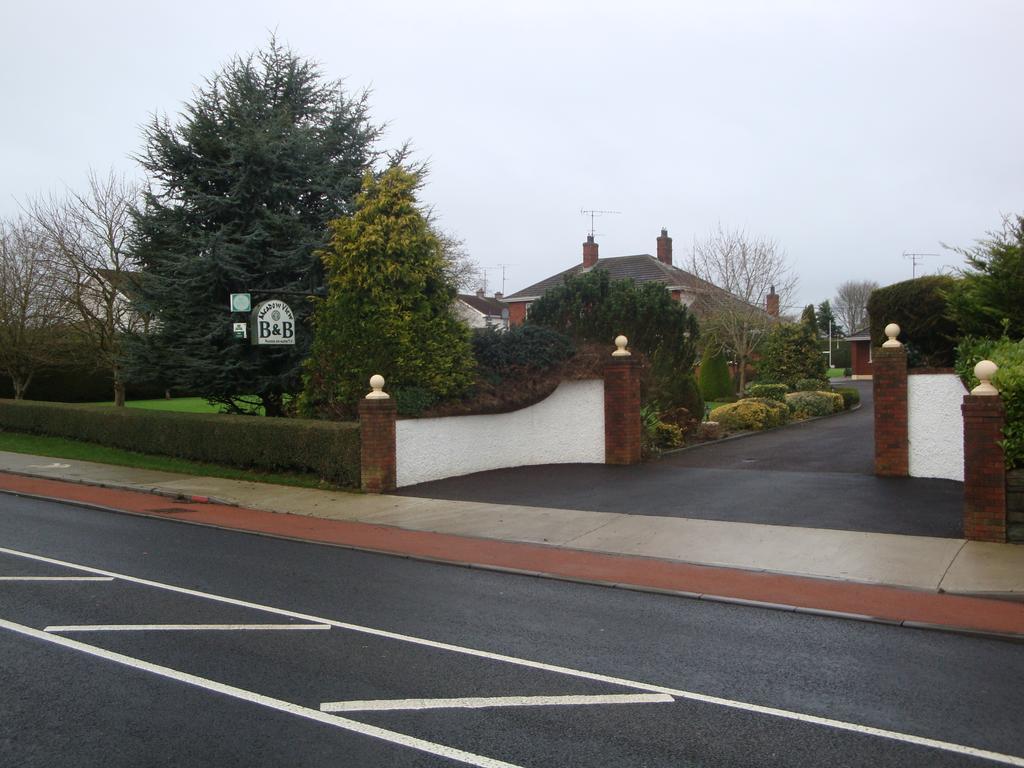 Meadow View B&B Navan Buitenkant foto