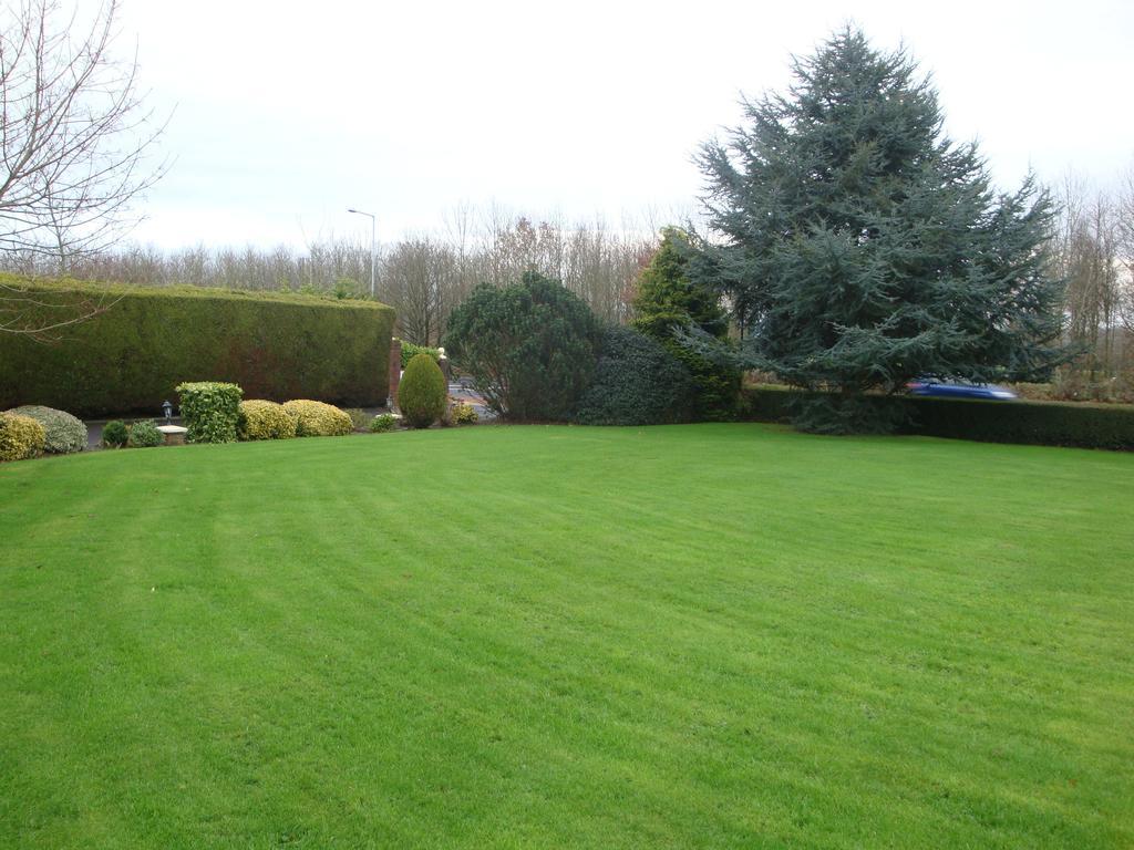 Meadow View B&B Navan Buitenkant foto